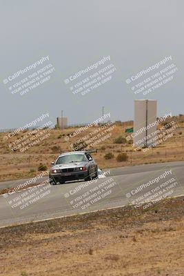 media/May-03-2025-Lucky Dog Racing (Sat) [[206de64b9d]]/Turn 6 (150pm-230pm)/